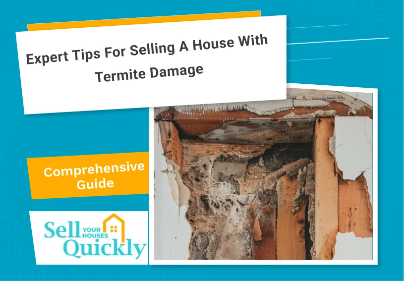 Expert Tips for Selling a House with Termite Damage